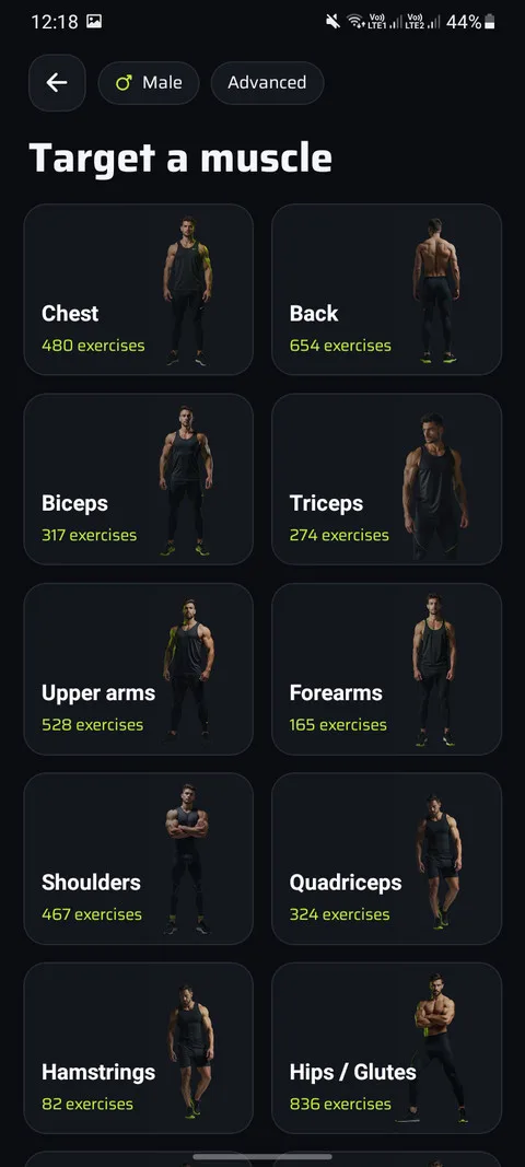 The exercise catalogue, entered by muscle group.